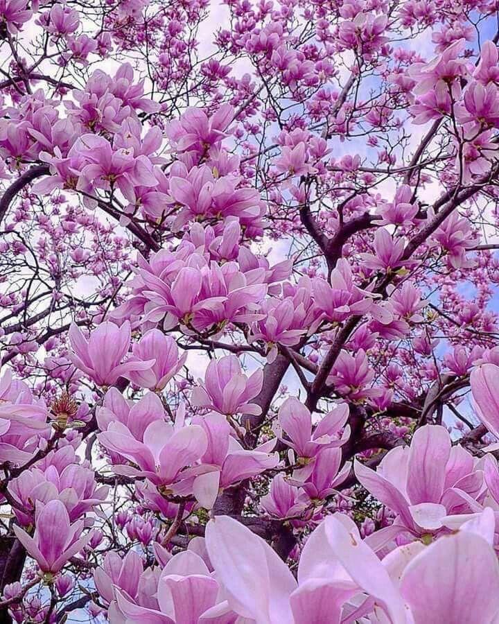 Professional floral arrangement in modern corporate setting